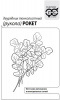 Рукола Рокет Двурядник (Рукола дикая) тонколистный Б/П GSH 0,5г (Р)®